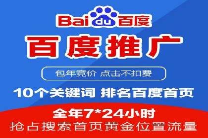 百度SEO推广成功案例：品牌知名度提升